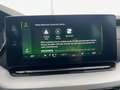 Skoda Octavia 2.0 TDI DSG First Edt.+ACC+KAMERA+NAVI Blanco - thumbnail 12