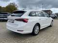 Skoda Octavia 2.0 TDI DSG First Edt.+ACC+KAMERA+NAVI Blanco - thumbnail 16