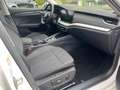 Skoda Octavia 2.0 TDI DSG First Edt.+ACC+KAMERA+NAVI Blanco - thumbnail 15