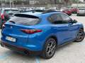 Alfa Romeo Stelvio Stelvio 2020 2.2 t Ti Q4 190cv auto Blau - thumbnail 5