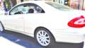 Mercedes-Benz CLK 270 CLK Coupe - C209 Coupe cdi Elegance Silber - thumbnail 19
