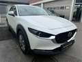 Mazda CX-30 e-Skyactive G140 Exclusive-Line Weiß - thumbnail 3