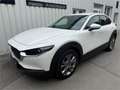 Mazda CX-30 e-Skyactive G140 Exclusive-Line Weiß - thumbnail 1