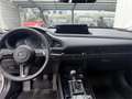 Mazda CX-30 e-Skyactive G140 Exclusive-Line Weiß - thumbnail 9