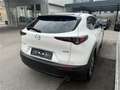 Mazda CX-30 e-Skyactive G140 Exclusive-Line Weiß - thumbnail 4