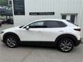 Mazda CX-30 e-Skyactive G140 Exclusive-Line Weiß - thumbnail 6