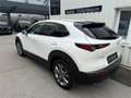 Mazda CX-30 e-Skyactive G140 Exclusive-Line Weiß - thumbnail 5