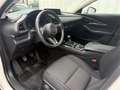 Mazda CX-30 e-Skyactive G140 Exclusive-Line Weiß - thumbnail 12