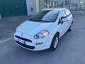 Fiat Punto Punto III 2012 5p 1.4 natural power Lounge 70cv E6 Blanco - thumbnail 1