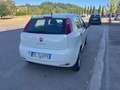 Fiat Punto Punto III 2012 5p 1.4 natural power Lounge 70cv E6 Blanc - thumbnail 7