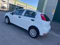 Fiat Punto Punto III 2012 5p 1.4 natural power Lounge 70cv E6 Blanc - thumbnail 5