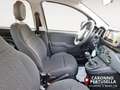 Fiat Panda 1.0 FireFly S&S Hybrid Grigio - thumbnail 13