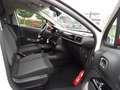 Citroen C3 C3 Pure Tech 83 Shine Wit - thumbnail 13
