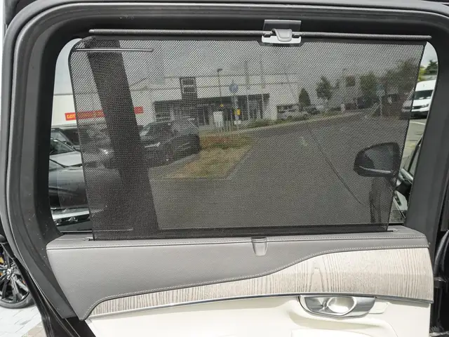 Volvo XC90 view 19