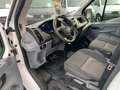 Ford Transit 310 L2 Doppelkabine,Pickerl+Service Neu Weiß - thumbnail 12