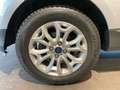 Ford EcoSport EcoSport 1.5 Titanium 110cv powershift Gris - thumbnail 4