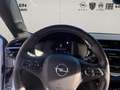 Opel Corsa F e Ultimate ACC*LED*Navi*SHZ*Kamera*KlimaA Weiß - thumbnail 10