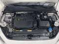 SEAT Leon 1.5 TSI S&S Style XS 130 Alb - thumbnail 14
