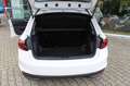 Skoda Fabia Active Weiß - thumbnail 26