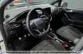 Ford Fiesta ST-Line 1,0 EcoBoost*1-BESITZ*SHZ*TEMPOMAT* Weiß - thumbnail 12