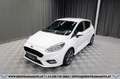 Ford Fiesta ST-Line 1,0 EcoBoost*1-BESITZ*SHZ*TEMPOMAT* Weiß - thumbnail 2