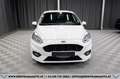 Ford Fiesta ST-Line 1,0 EcoBoost*1-BESITZ*SHZ*TEMPOMAT* Weiß - thumbnail 3