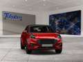 Ford Puma Panorama + Winter Paket + LED Rot - thumbnail 8