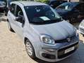 Fiat Panda Panda III 2021 1.0 firefly hybrid s Gris - thumbnail 5