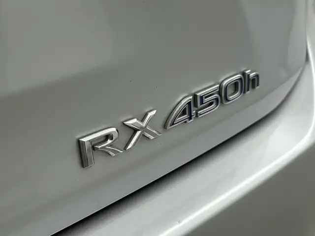 Lexus RX view 13