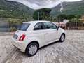 Fiat 500 500 My 24 1.0 hybrid 70cv Blanc - thumbnail 6