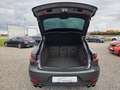 Porsche Macan S 3.0 Diesel LED*AHK*Standh.*Kamera*uvm... Gris - thumbnail 11