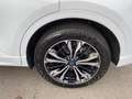 Ford Kuga 2.5 PHEV ST-Line X AHK schwenk.|Kamera|ACC Wit - thumbnail 15