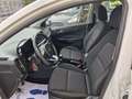 Kia Picanto Picanto III 2017 1.0 Cool Gpl my18 Weiß - thumbnail 8