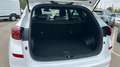 Hyundai TUCSON 1.6 CRDI 100KW 48V N-LINE DCT 2WD 136 5P Blanco - thumbnail 17