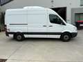 Mercedes-Benz Sprinter 313 CDI (BlueTec) 906.731 BlueEFFICIENCY - thumbnail 4
