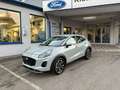 Ford Puma Titanium 1.0 Ecoboost Hybrid Grau - thumbnail 1