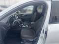 Ford Kuga 2,5 Duratec PHEV Titanium Aut. Wit - thumbnail 7