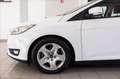 Ford Focus 5p 1.5 tdci Plus s&s 95cv Bianco - thumbnail 7