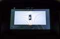 Ford Focus 5p 1.5 tdci Plus s&s 95cv Bianco - thumbnail 12