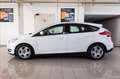 Ford Focus 5p 1.5 tdci Plus s&s 95cv Bianco - thumbnail 3