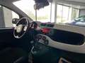 Fiat Panda Cross 1.0i MHEV 1er Propriétaire Garantie 1an Blanc - thumbnail 6