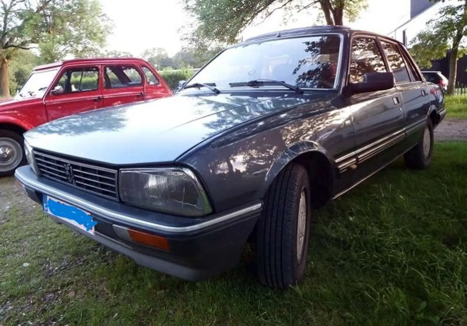 Peugeot 505 GTI 2,2 Blu/Azzurro - 2