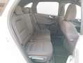 Ford Kuga Kuga 1.5 EcoBlue 120 CV aut. 2WD ST-Line Bianco - thumbnail 14