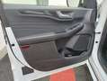 Ford Kuga Kuga 1.5 EcoBlue 120 CV aut. 2WD ST-Line Bianco - thumbnail 10