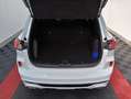 Ford Kuga Kuga 1.5 EcoBlue 120 CV aut. 2WD ST-Line Bianco - thumbnail 9