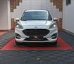 Ford Kuga Kuga 1.5 EcoBlue 120 CV aut. 2WD ST-Line Bianco - thumbnail 7