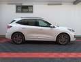 Ford Kuga Kuga 1.5 EcoBlue 120 CV aut. 2WD ST-Line Bianco - thumbnail 2