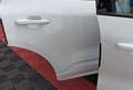 Ford Kuga Kuga 1.5 EcoBlue 120 CV aut. 2WD ST-Line Bianco - thumbnail 16