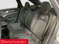 Audi RS6 RS6 Av performance VOLL! MATT! AHK MATRIX PANO S Grau - thumbnail 14