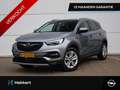 Opel Grandland X Business Elegance 1.2 Turbo 130pk DODE HOEK | CRUI Gris - thumbnail 1